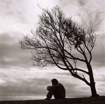 sad_undertree