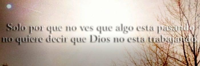 11534-dios