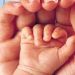 Ejemplos de verdad para la Familia