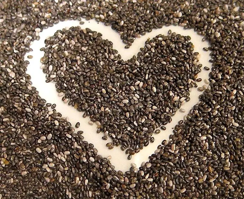 Como tomar la chia para adelgazar en una semana