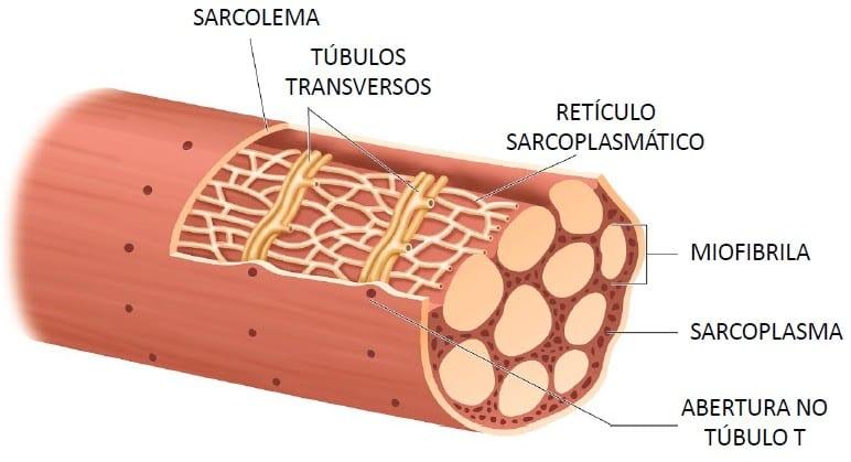 Imagen relacionada