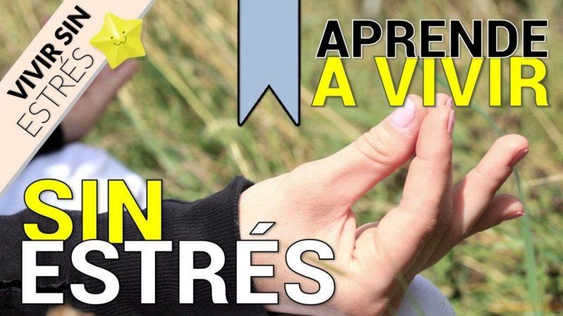 Aptitudes Clave: Descubre Ejemplos QUE TE ES BUENO PARA LA ANSIEDAD