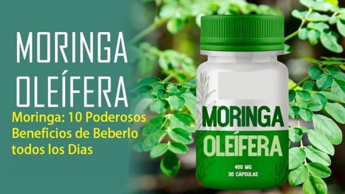 Moringa: 10 Poderosos Beneficios de Beberlo todos los Días